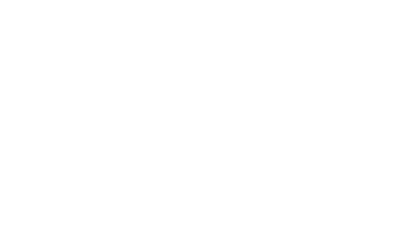 Davis-Standard Corporation